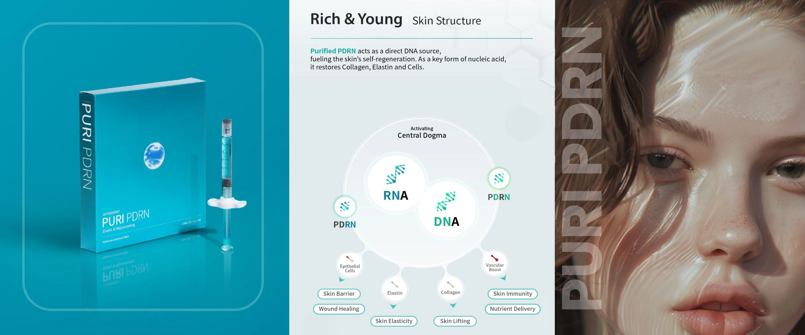 Modular Switches Project