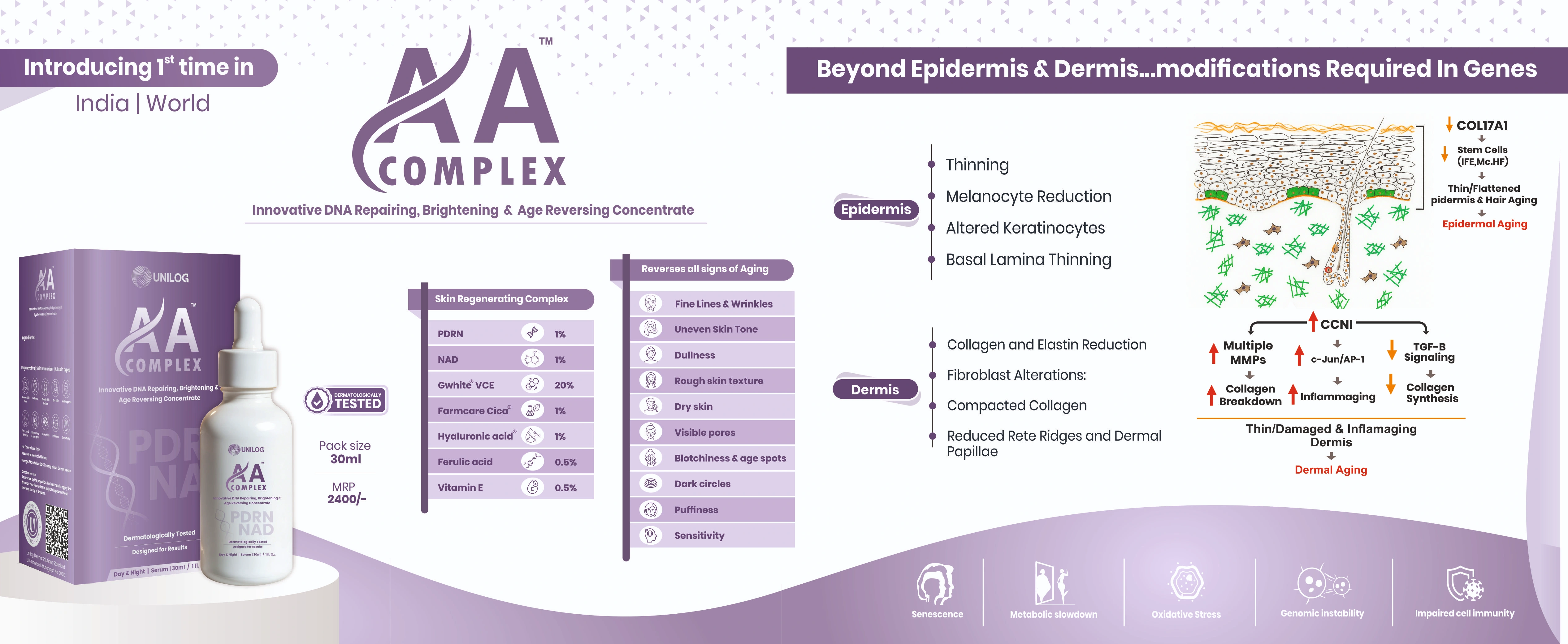 Modular Switches Project