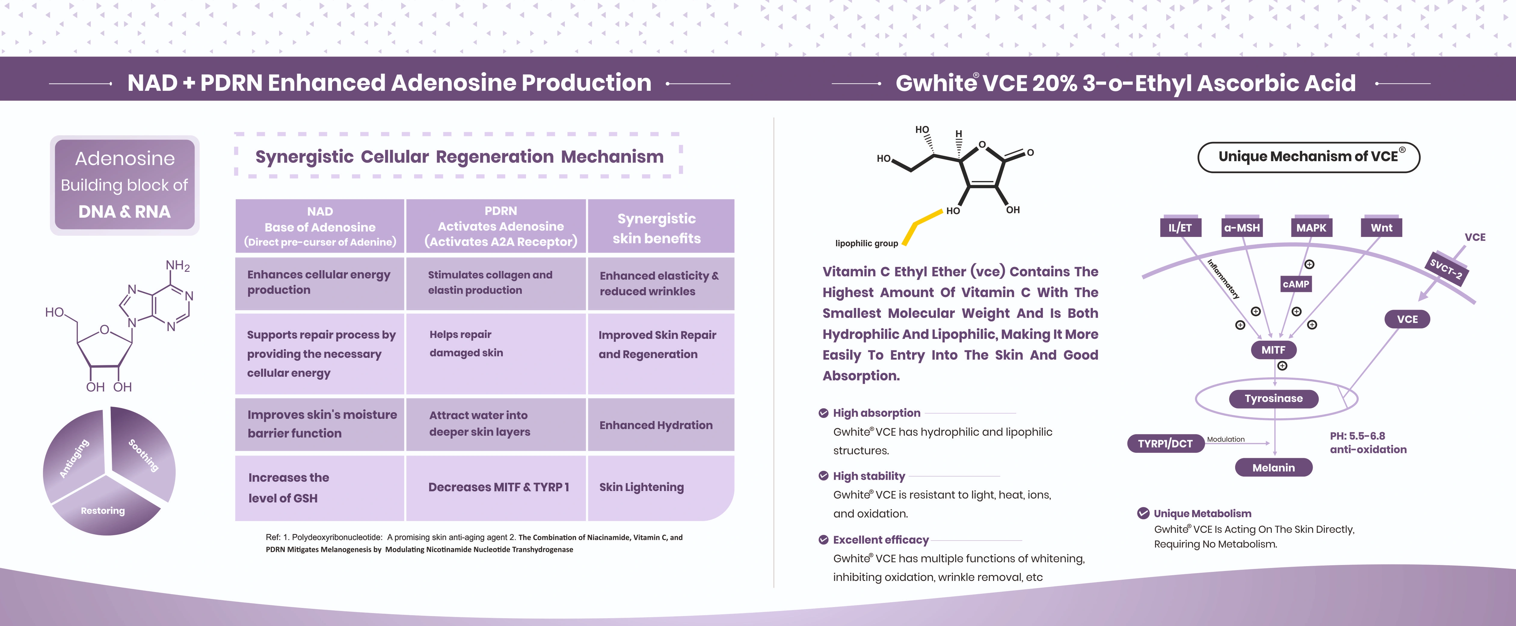Modular Switches Project