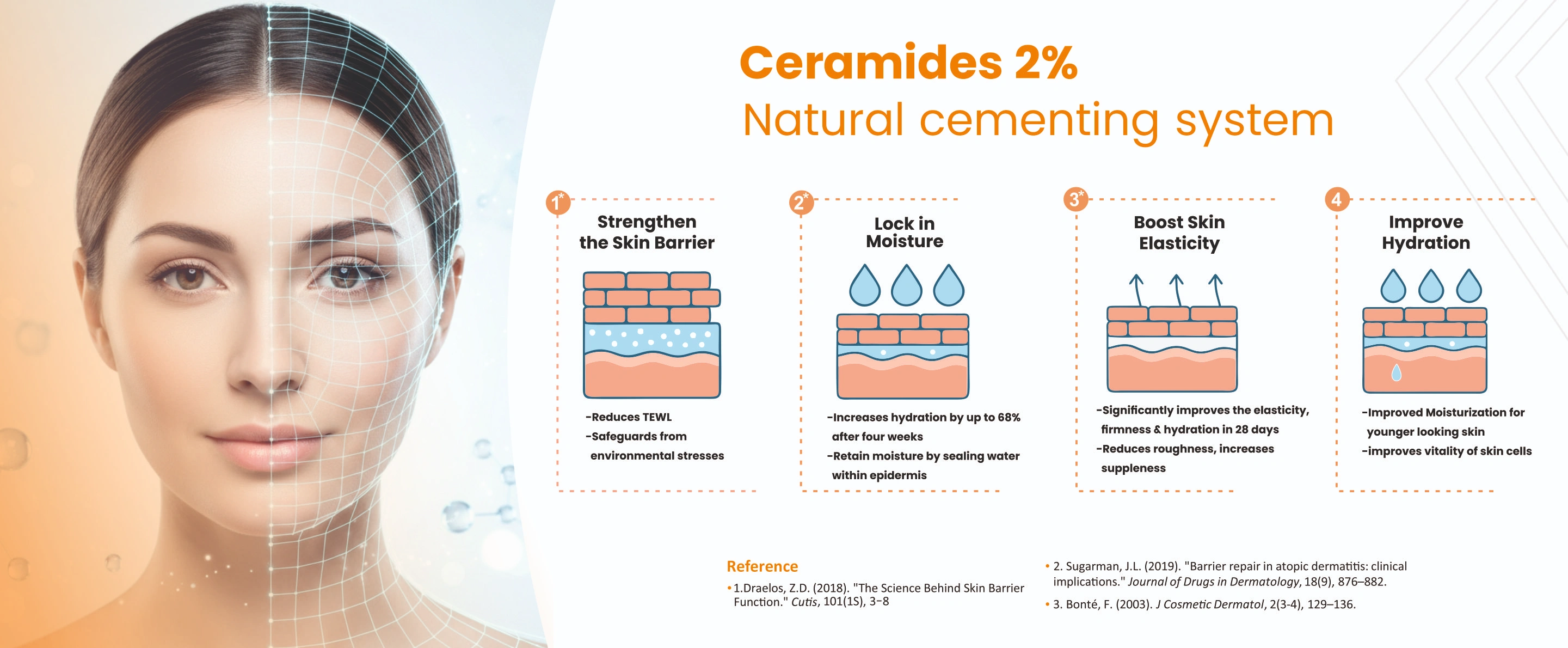 Modular Switches Project