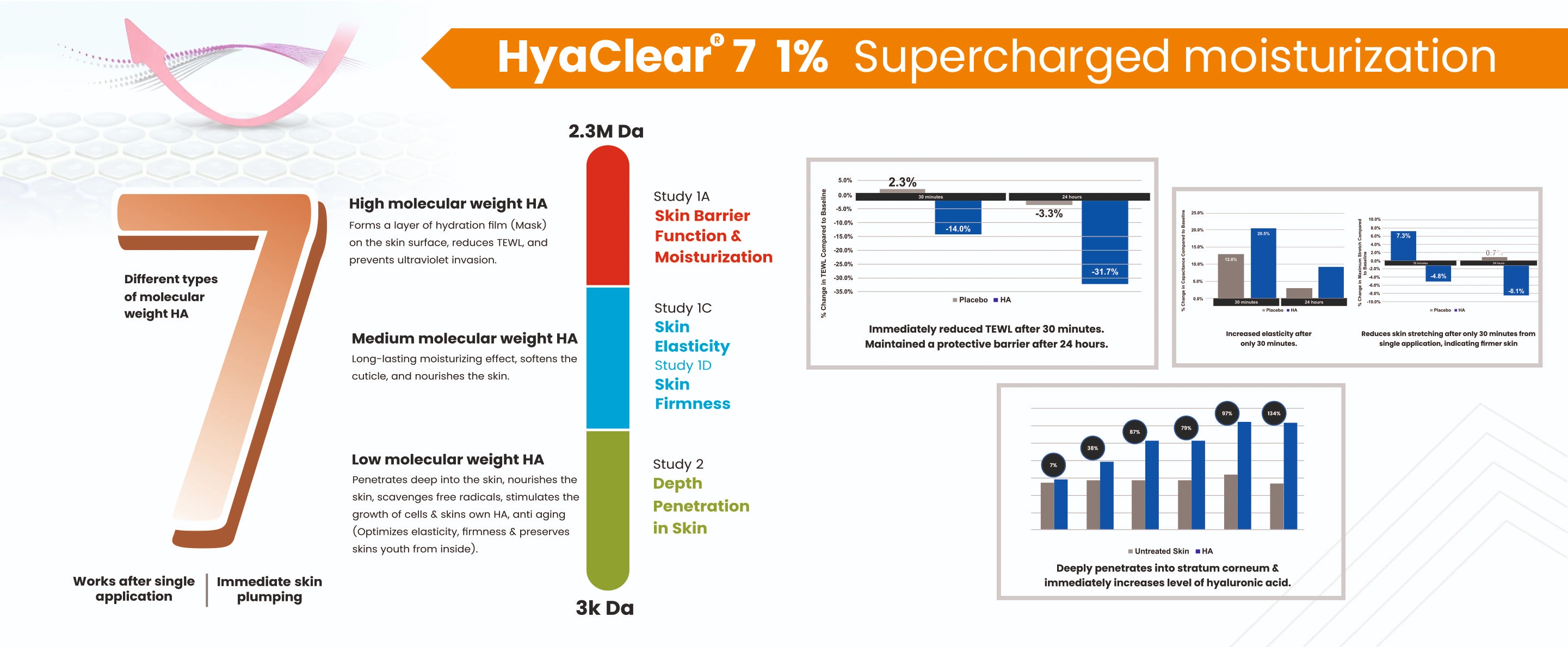 Modular Switches Project