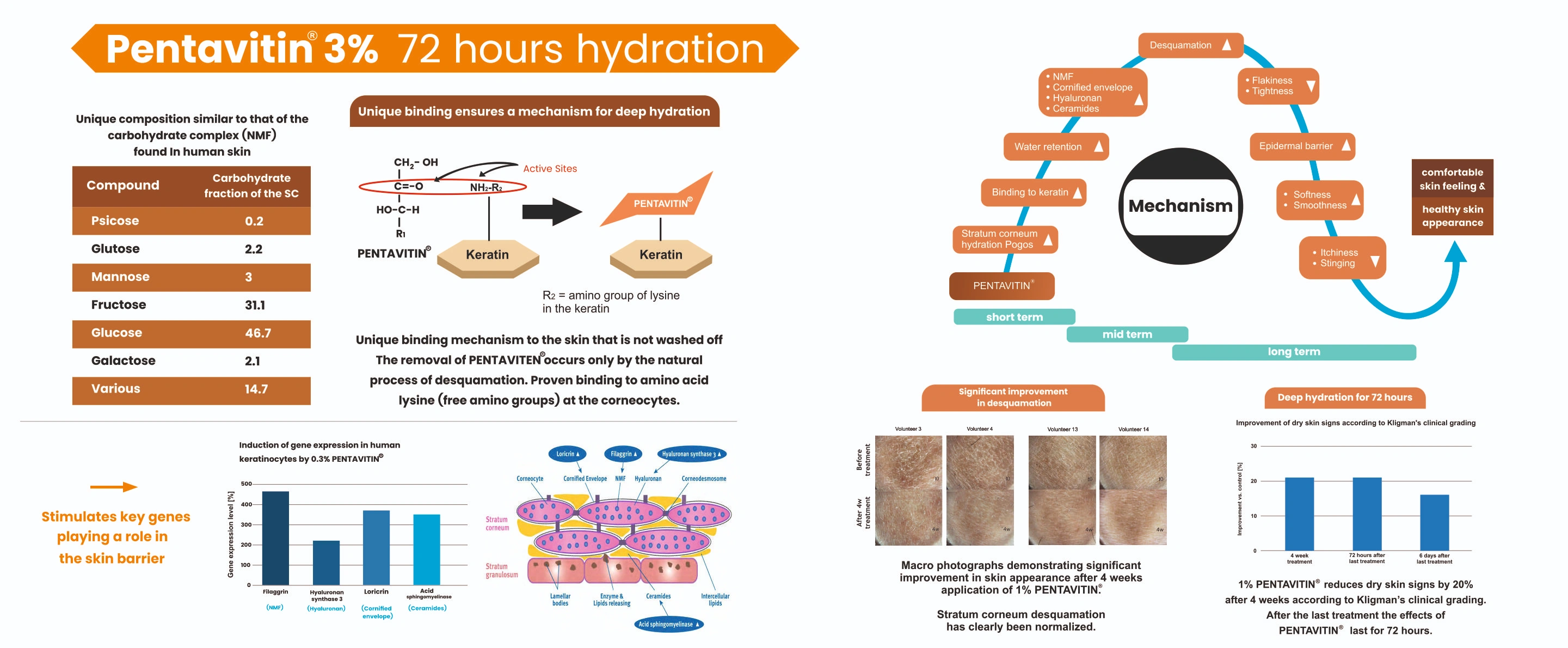 Modular Switches Project