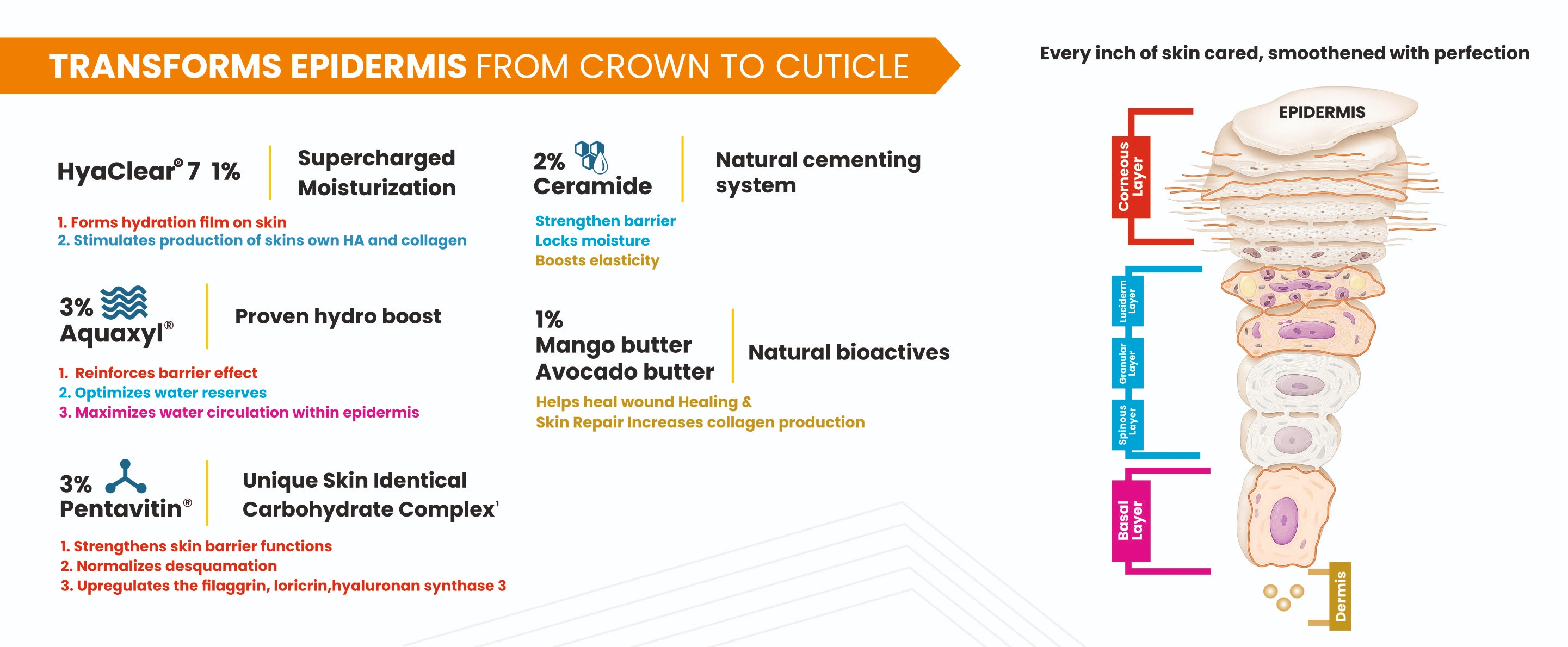 Modular Switches Project