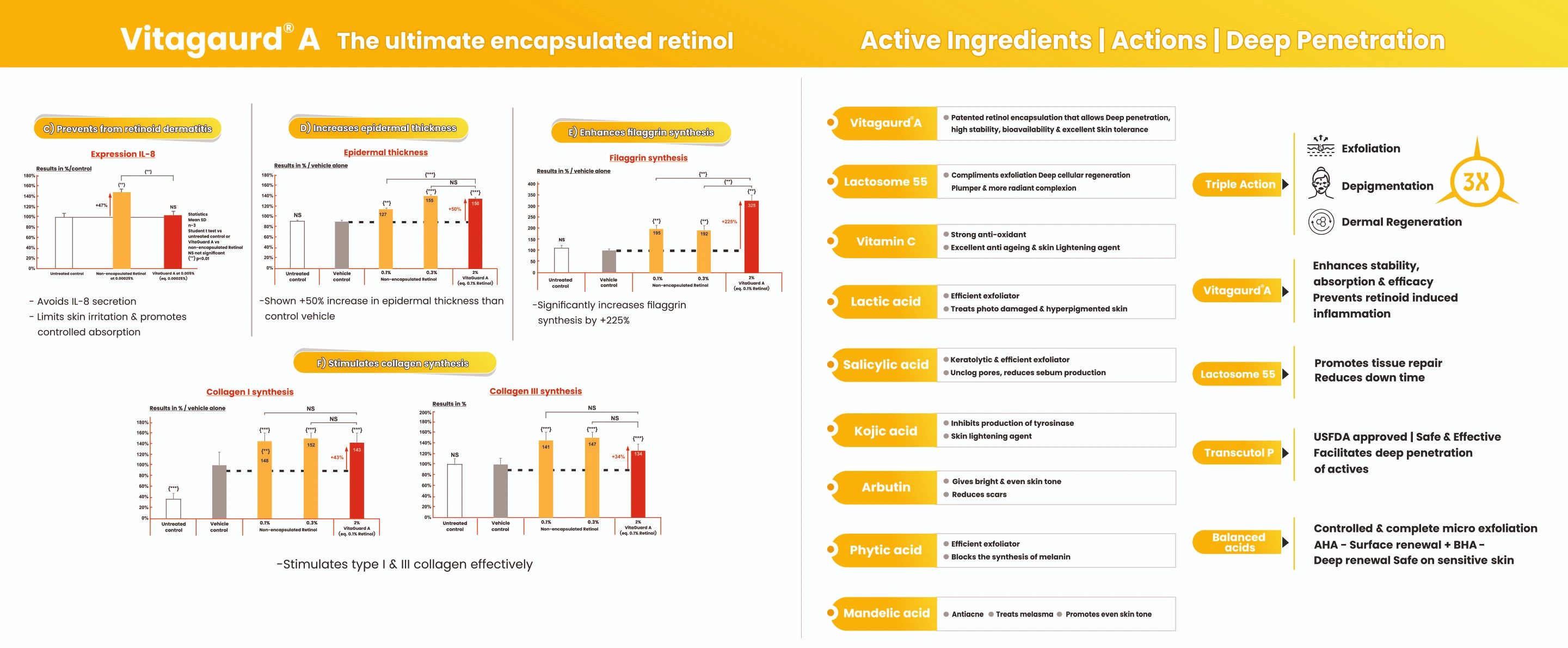 Modular Switches Project